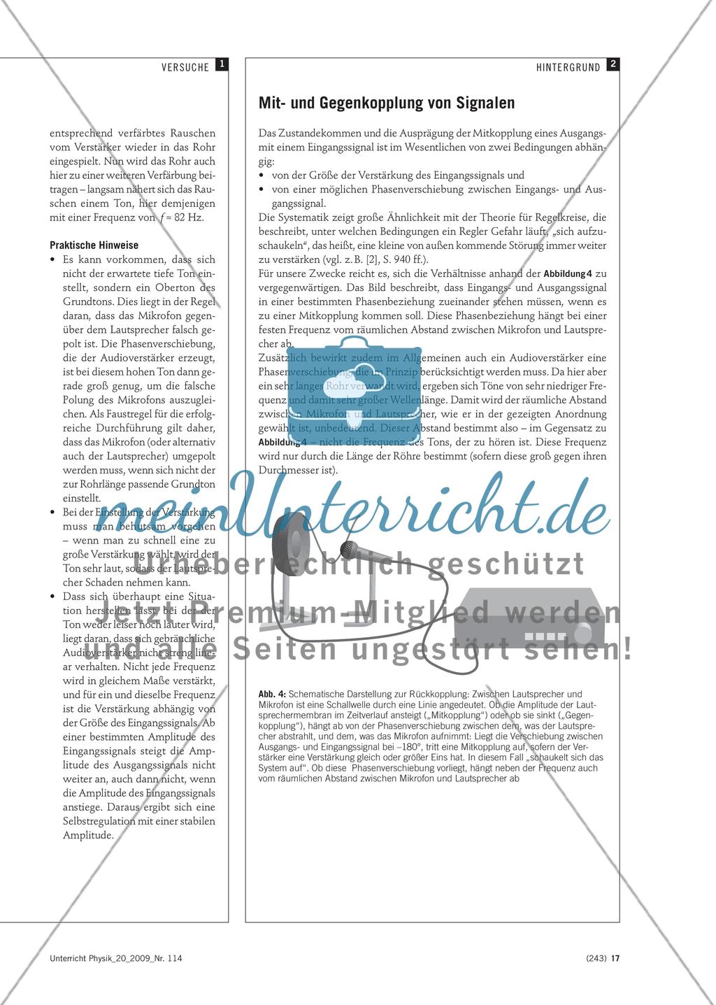 Aus dem Rauschen der volle Klang - Modellexperimente zur Klangentstehung in Orgel und Flöte Preview 4