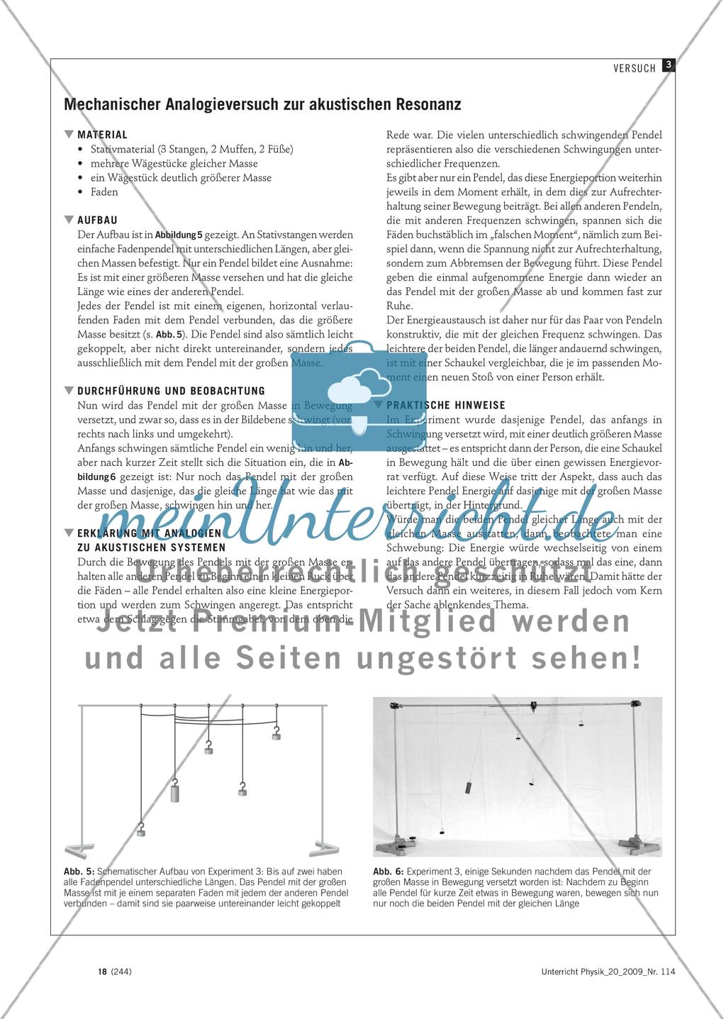 Aus dem Rauschen der volle Klang - Modellexperimente zur Klangentstehung in Orgel und Flöte Preview 5