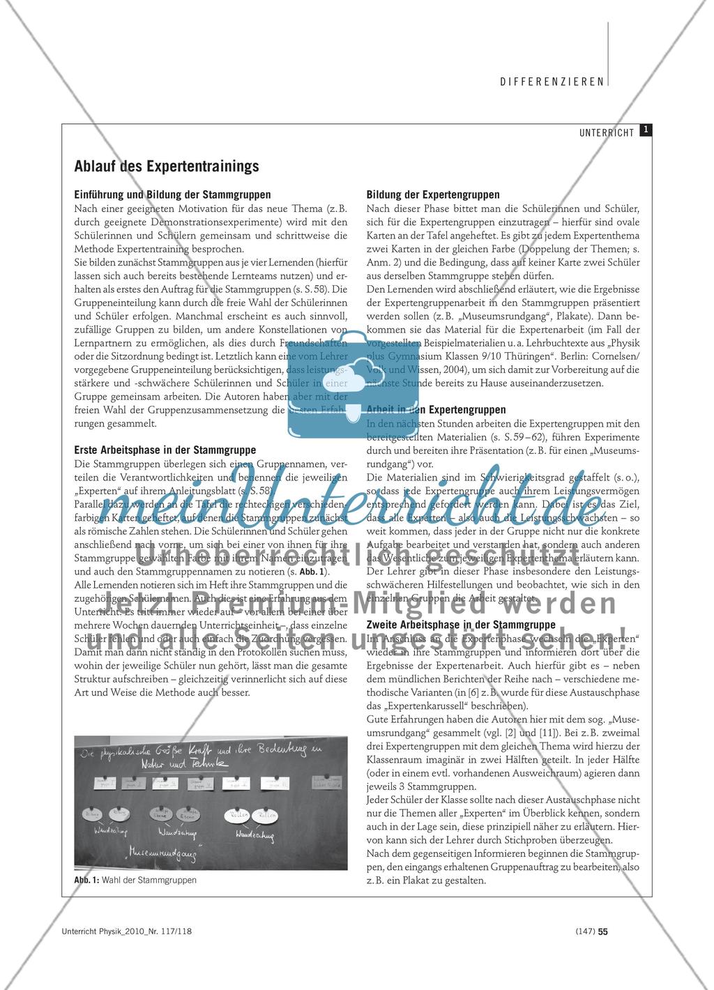 Expertentraining - Eine anspruchsvolle Möglichkeit zur Binnendifferenzierung Preview 2