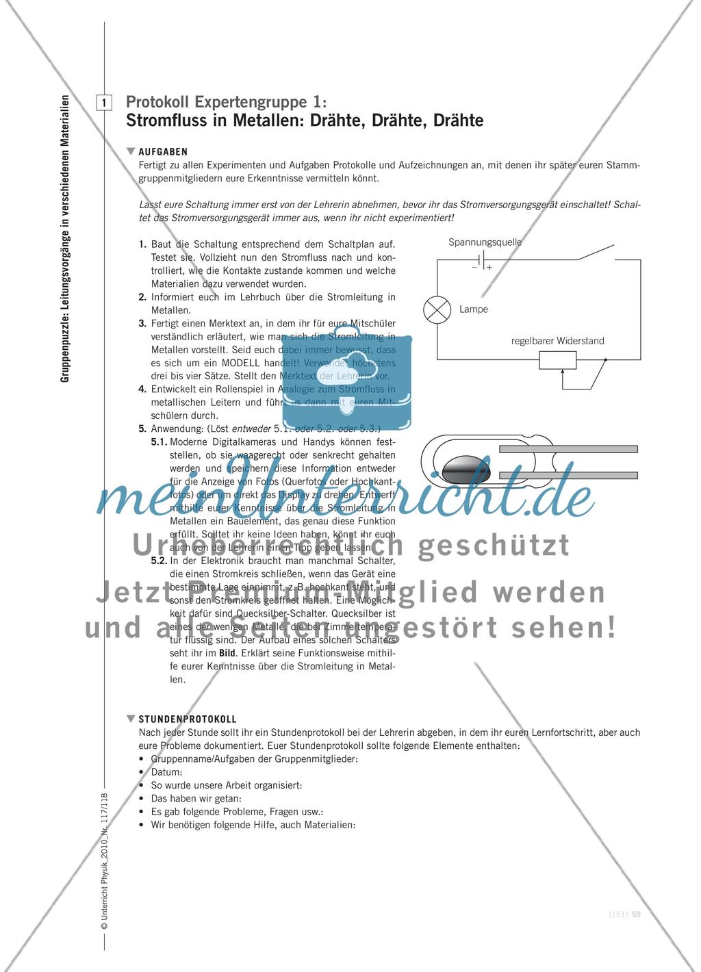 Expertentraining - Eine anspruchsvolle Möglichkeit zur Binnendifferenzierung Preview 6