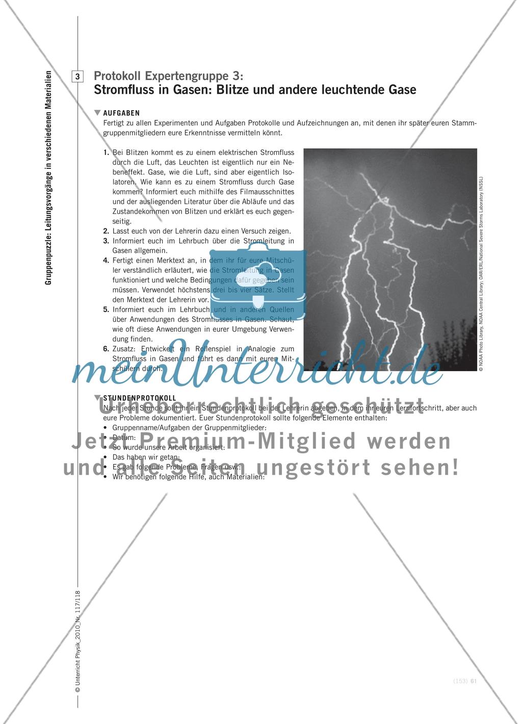 Expertentraining - Eine anspruchsvolle Möglichkeit zur Binnendifferenzierung Preview 8