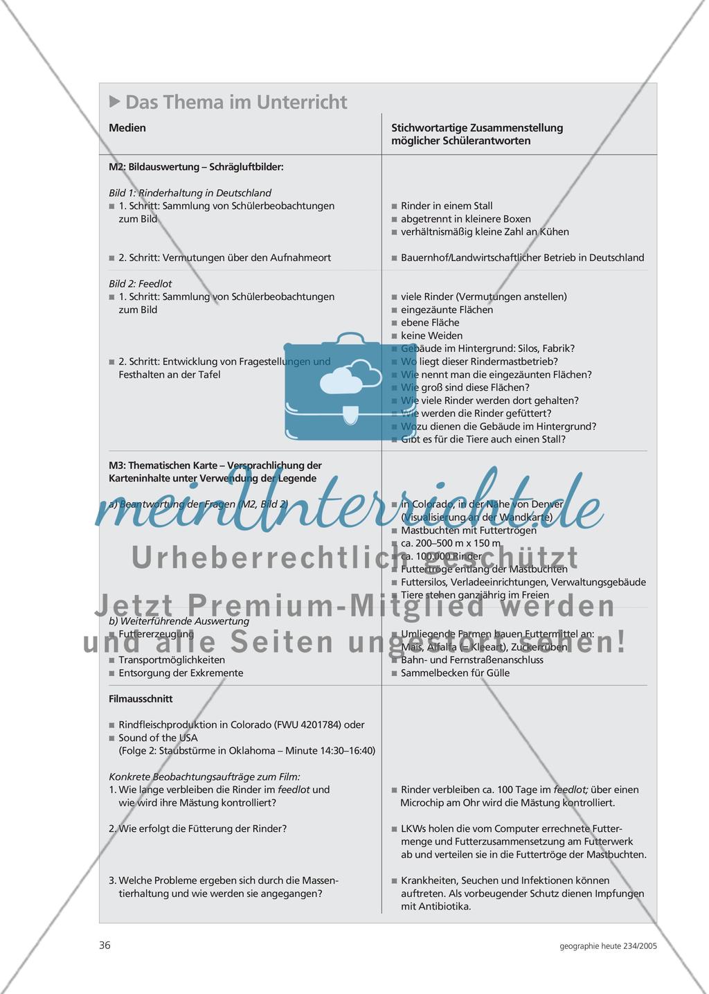 Industrialisierte Rindermast in den Great Plains - Ein Beitrag zur Entwicklung und Förderung der Lesekompetenz im Geographieunterricht Preview 5