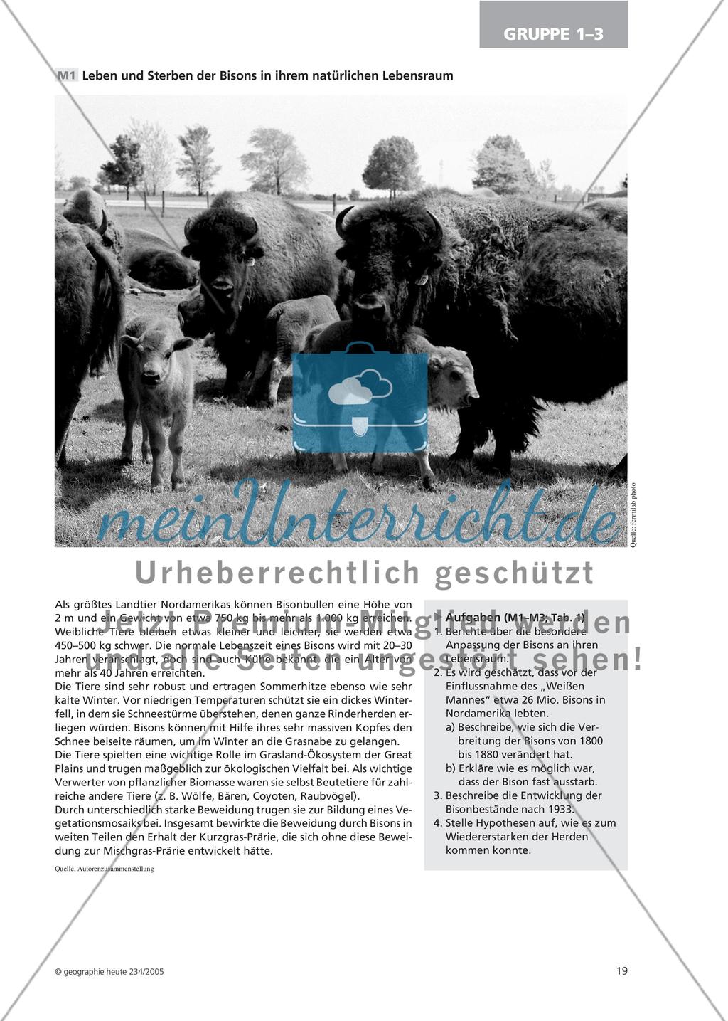 Raising Bison for Nature, Fun and Bucks - Die Rückkehr der Bisons Preview 4
