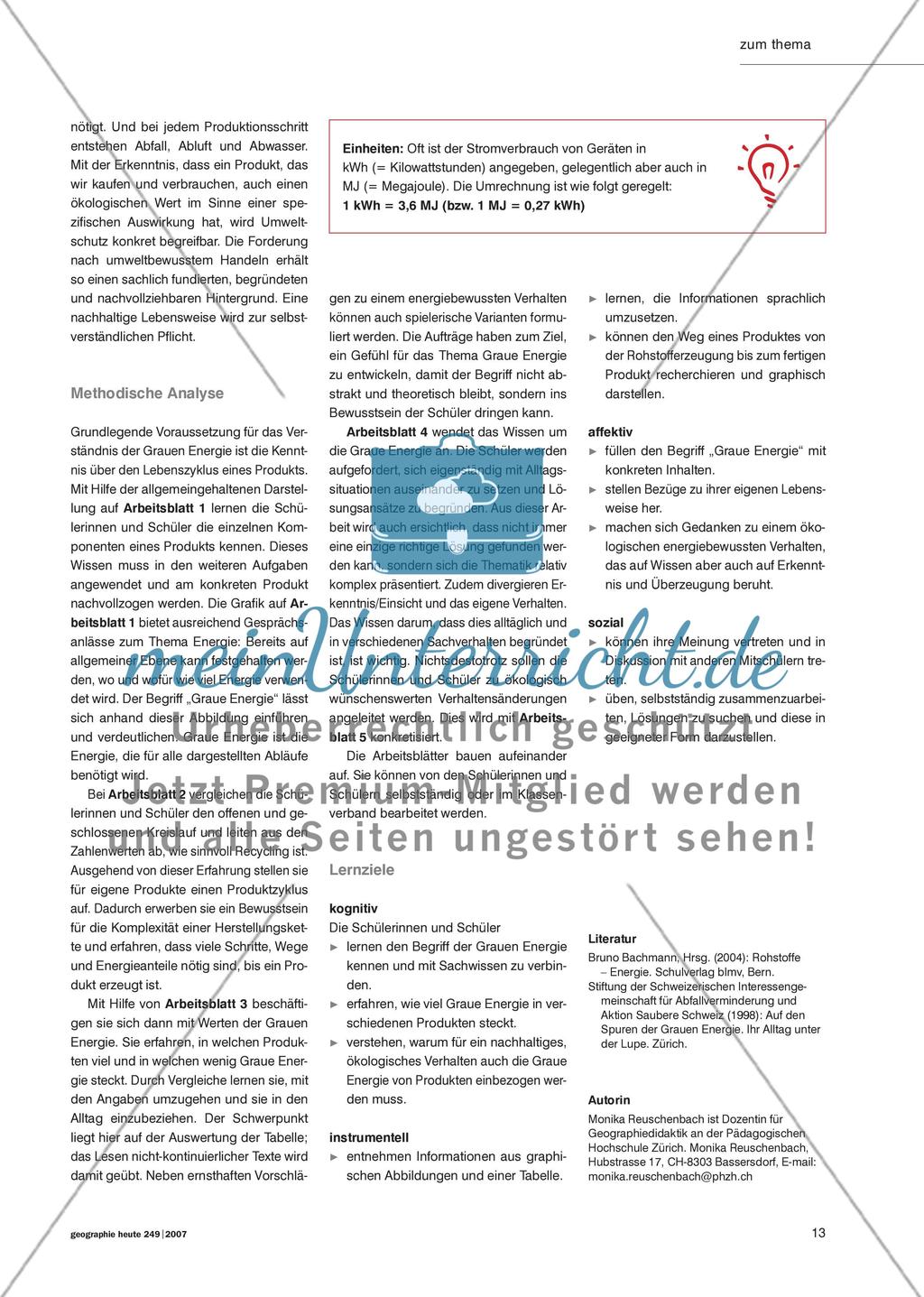 Auf den Spuren der Grauen Energie - Die Lebensgeschichte von Produkten umfassend verstehen Preview 2