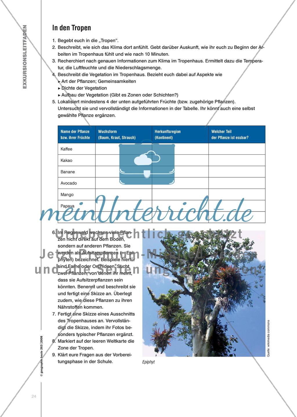 Klima- und Vegetationszonen hautnah erleben - Eine Kurzexkursion in den Botanischen Garten unternehmen Preview 5