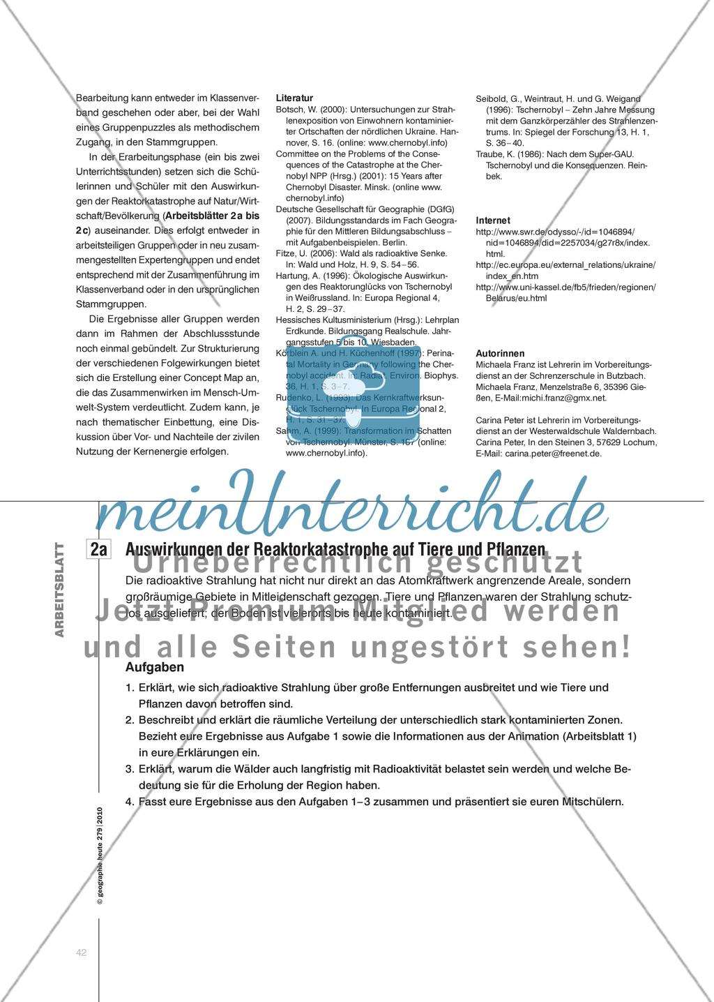 Der Super-GAU von Tschernobyl - Auswirkungen der Reaktorkatastrophe auf das Mensch-Umwelt-System Preview 3