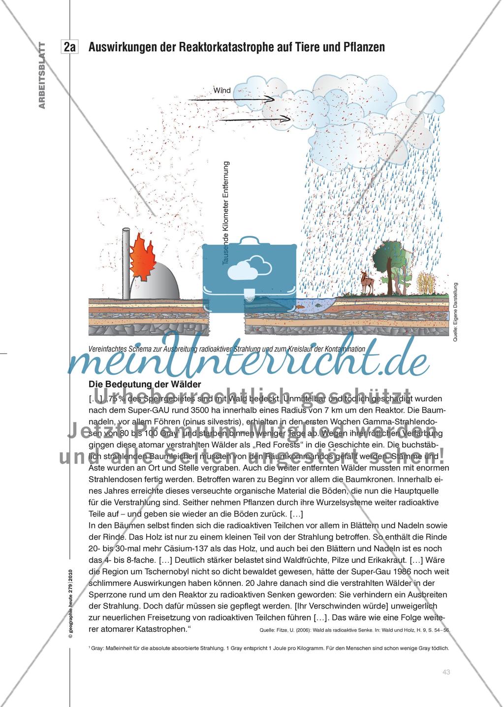 Der Super-GAU von Tschernobyl - Auswirkungen der Reaktorkatastrophe auf das Mensch-Umwelt-System Preview 4