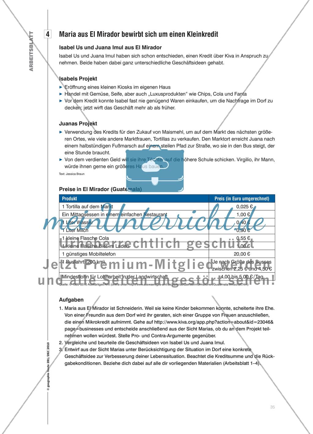 Würden Sie dieser Frau € 20,– leihen? - Armutsbekämpfung per Mausklick: über die Vergabe eines Mikrokredits entscheiden Preview 10