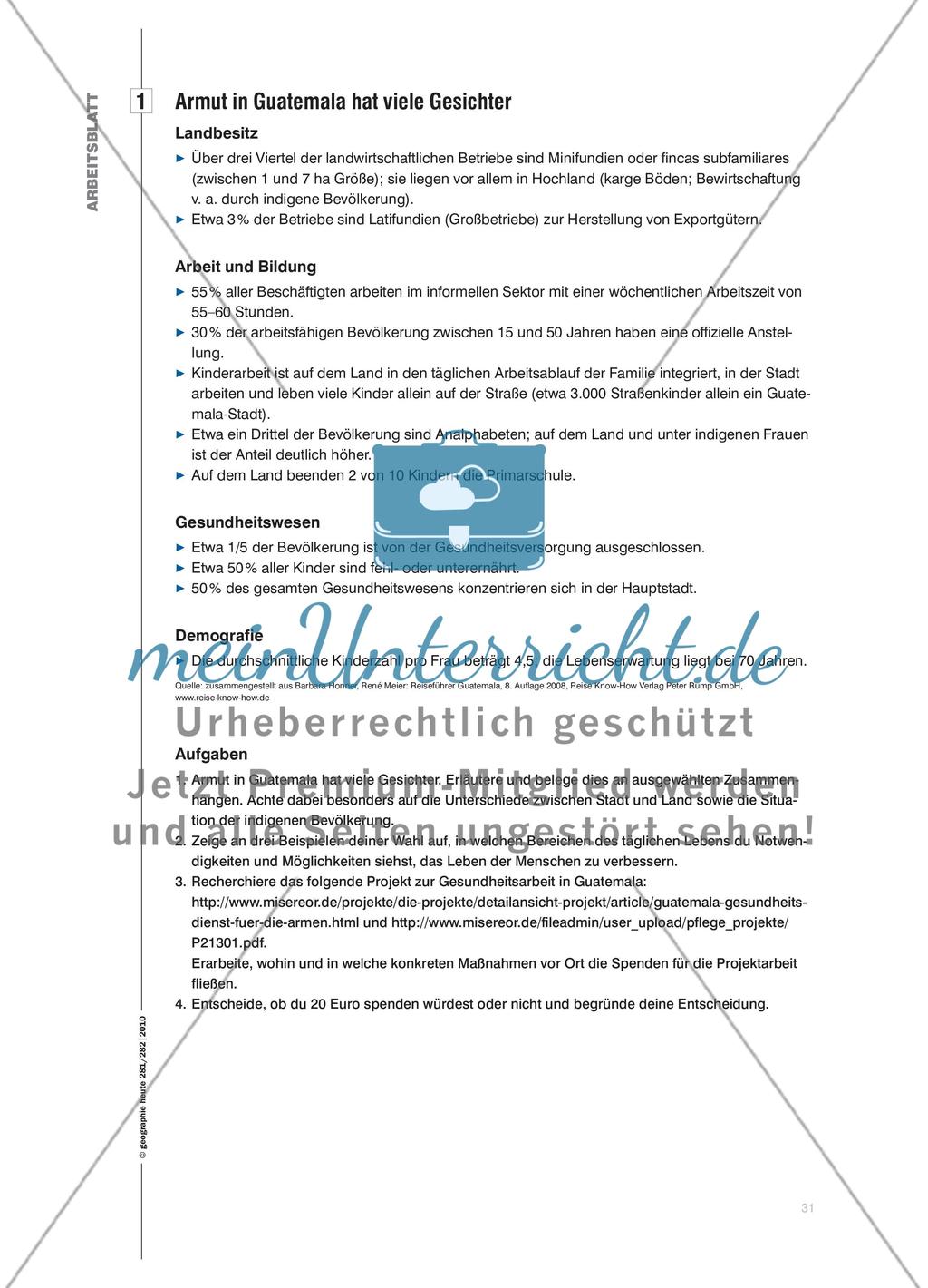 Würden Sie dieser Frau € 20,– leihen? - Armutsbekämpfung per Mausklick: über die Vergabe eines Mikrokredits entscheiden Preview 6