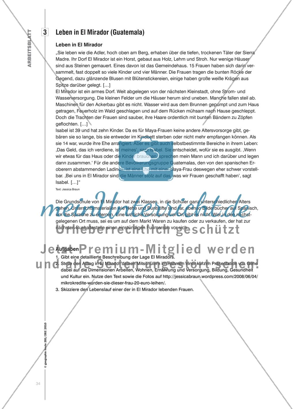 Würden Sie dieser Frau € 20,– leihen? - Armutsbekämpfung per Mausklick: über die Vergabe eines Mikrokredits entscheiden Preview 9
