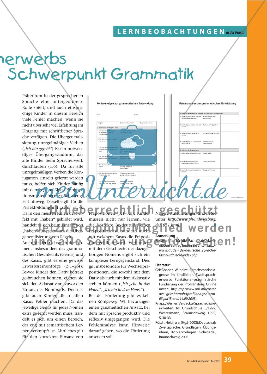 Beobachtung des Zweitspracherwerbs im Anfangsunterricht – Schwerpunkt Grammatik Preview 2