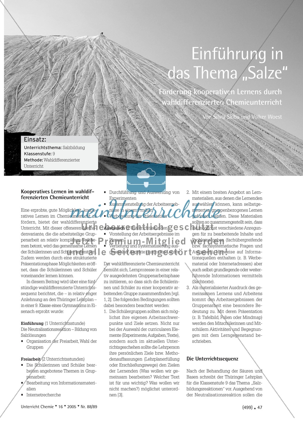 Wahldifferenzierter Chemieunterricht durch Gruppenarbeit: Unterrichtssequenz zum Thema Salze Preview 1