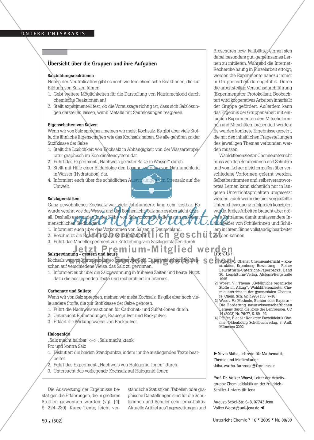 Wahldifferenzierter Chemieunterricht durch Gruppenarbeit: Unterrichtssequenz zum Thema Salze Preview 4