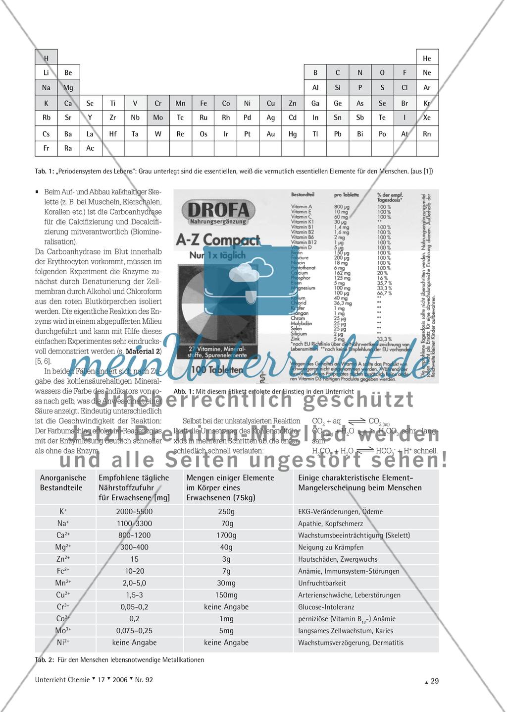 Metallkationen als aktive Zentren von Enzymen Preview 2