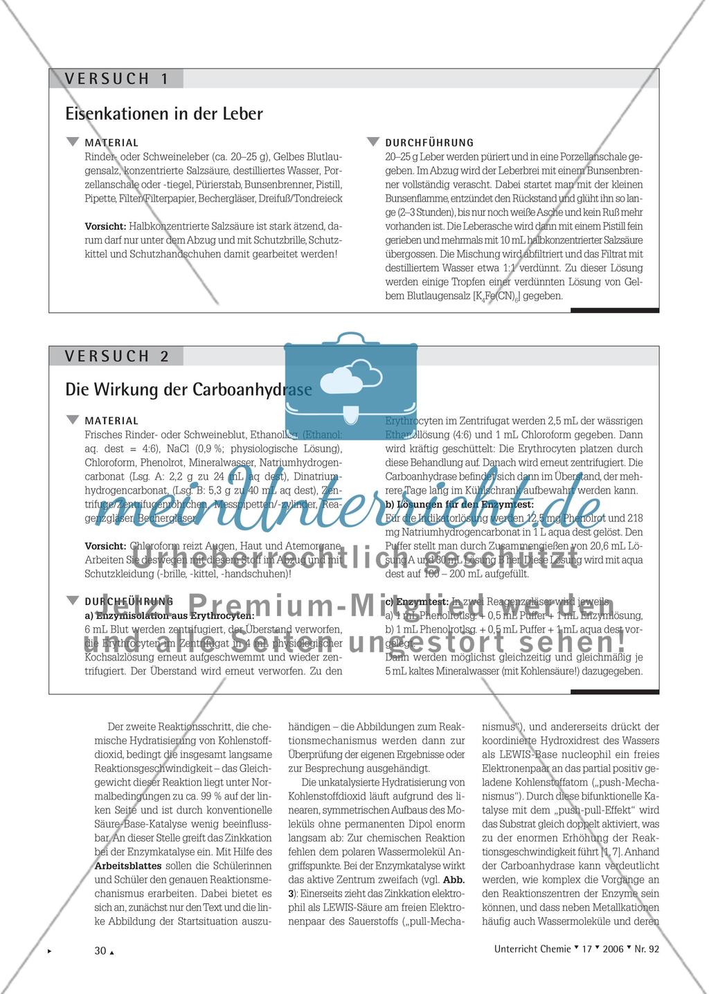 Metallkationen als aktive Zentren von Enzymen Preview 3