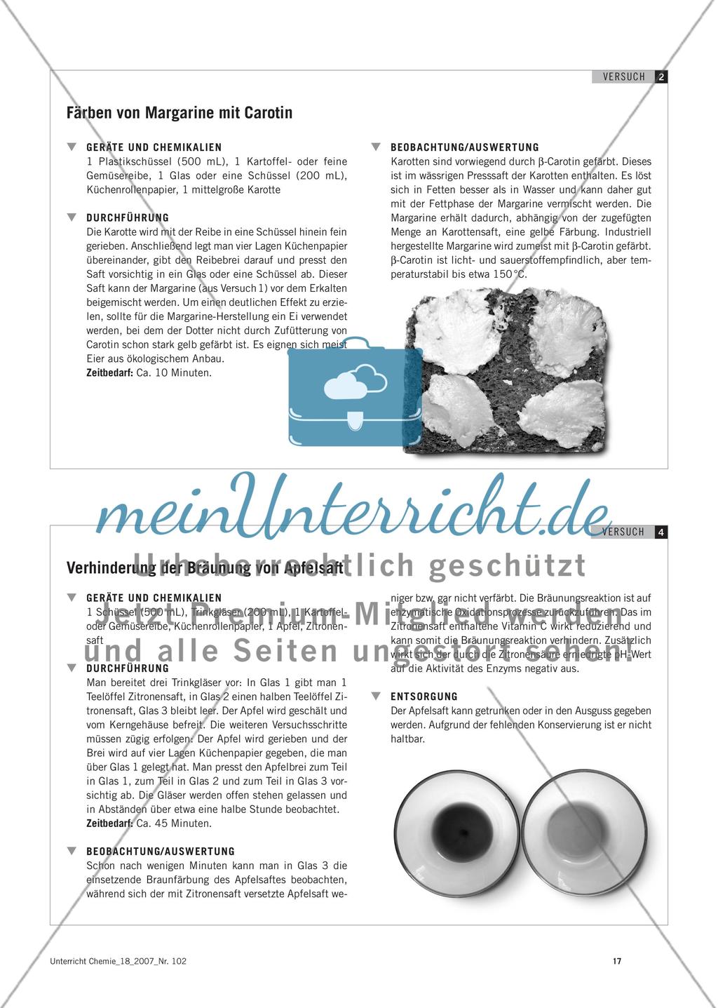 Zusatzstoffe in Lebensmitteln - Einfache Schülerexperimente für die Sekundarstufe I Preview 4