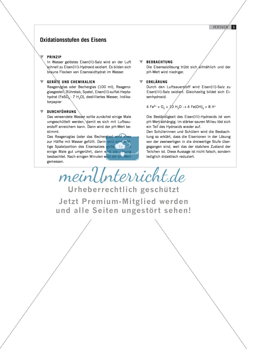 Von der Wortgleichung zur Symbolgleichung + Der Wertigkeitsbegriff Preview 5