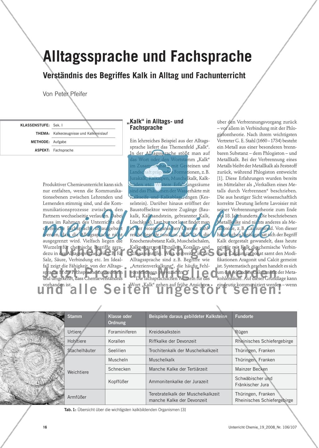 Alltagssprache und Fachsprache - Verständnis des Begriffes Kalk in Alltag und Fachunterricht Preview 1