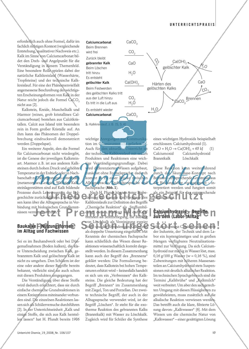 Alltagssprache und Fachsprache - Verständnis des Begriffes Kalk in Alltag und Fachunterricht Preview 2