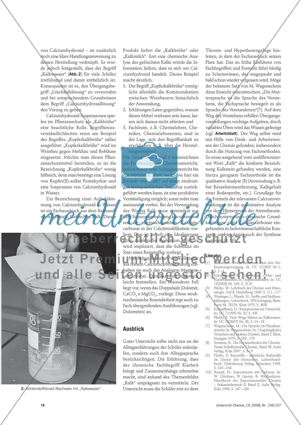 Alltagssprache und Fachsprache - Verständnis des Begriffes Kalk in Alltag und Fachunterricht Preview 3