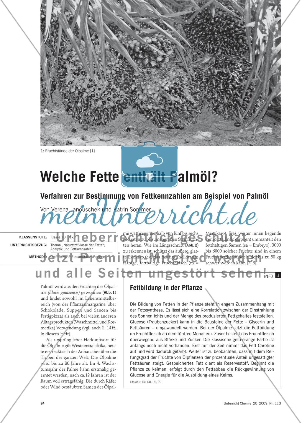 Welche Fette enthält Palmöl? - Verfahren zur Bestimmung von Fettkennzahlen am Beispiel von Palmöl Preview 1