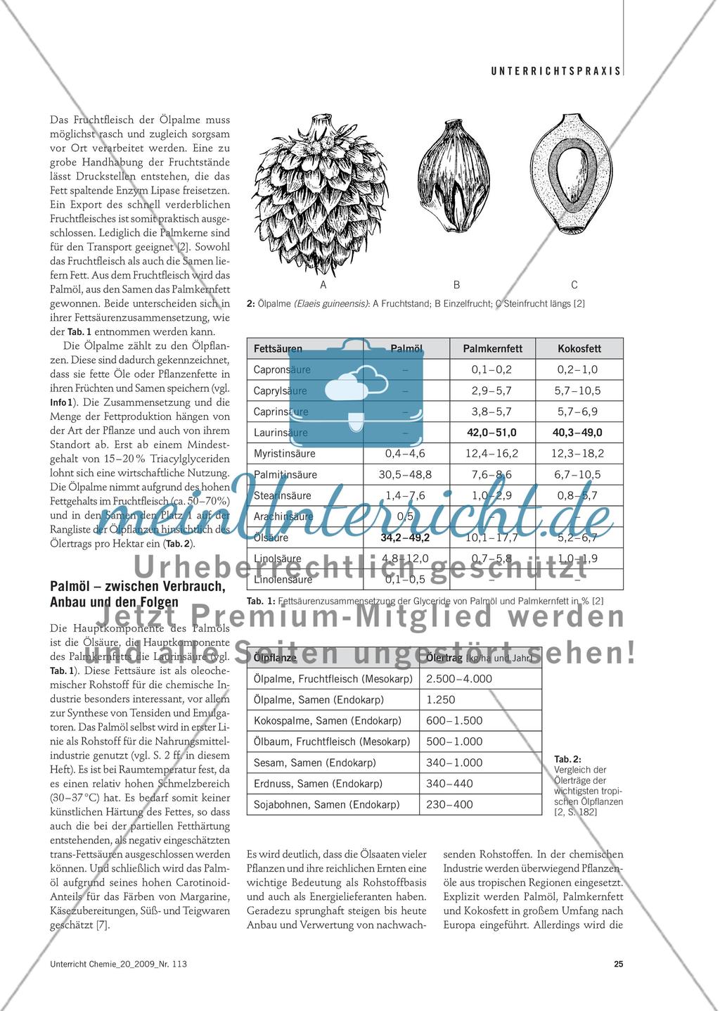 Welche Fette enthält Palmöl? - Verfahren zur Bestimmung von Fettkennzahlen am Beispiel von Palmöl Preview 2