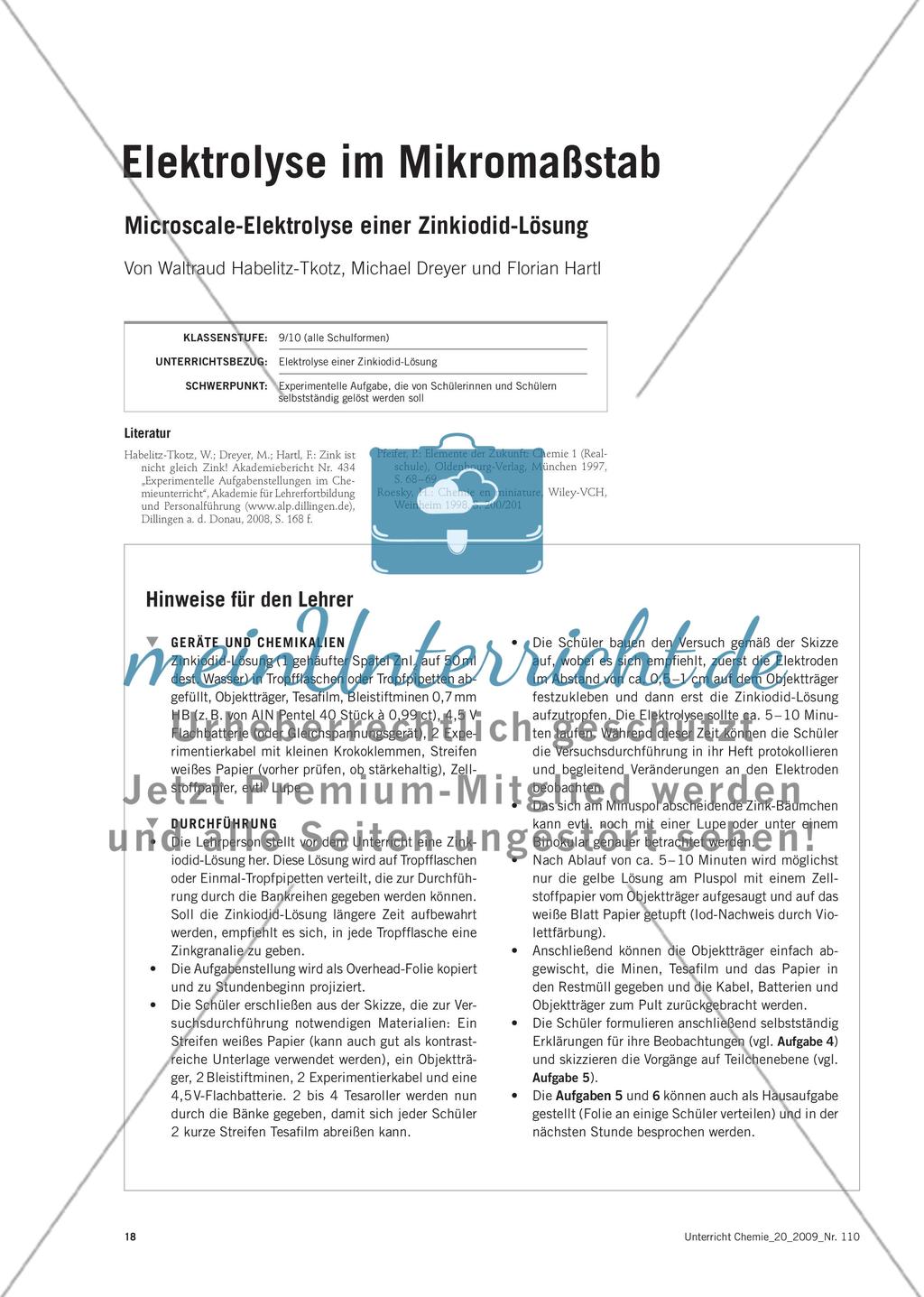 Elektrolyse im Mikromaßstab - Microscale-Elektrolyse einer Zinkiodid-Lösung Preview 1