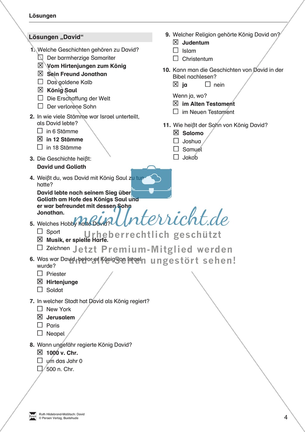 David: Fragebogen zum Wissensstand der Schüler Preview 4