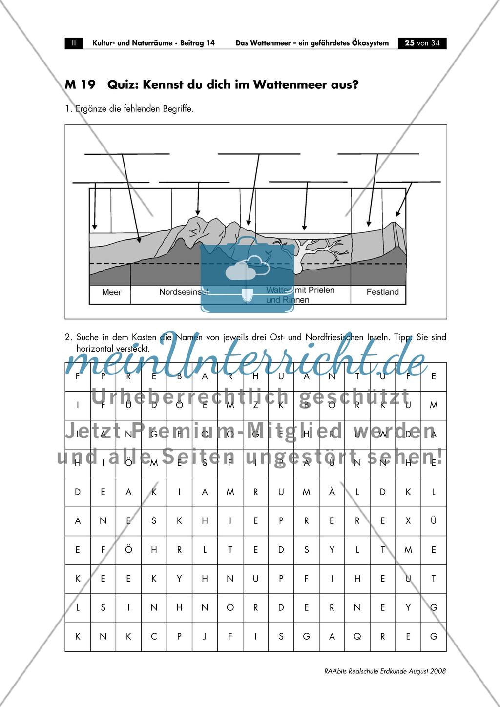 Nutzung und Gefährdung des Wattenmeeres Preview 8