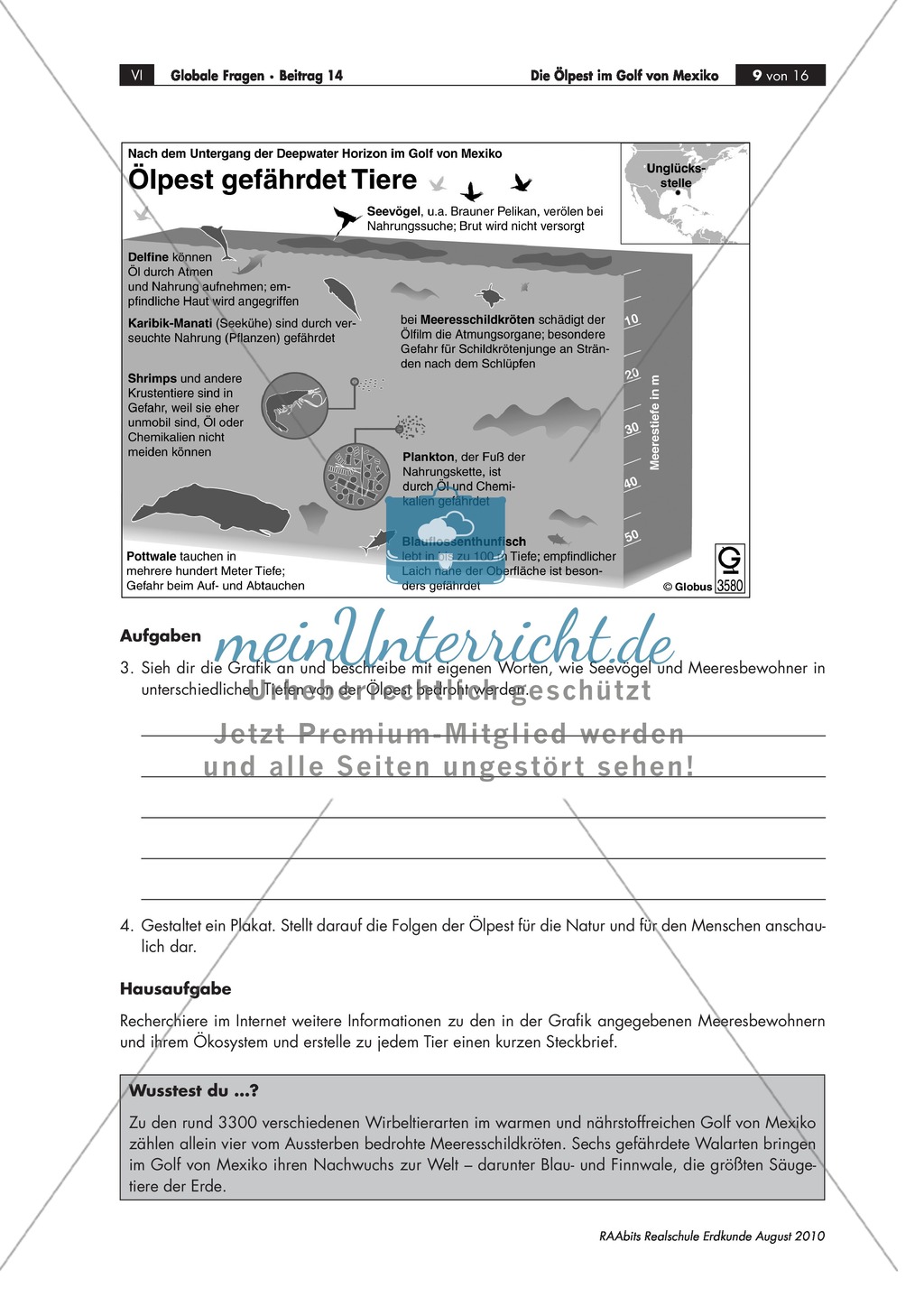Umweltkatastrophe Ölpest - Folgen für Tiere und Ökosystem Preview 2