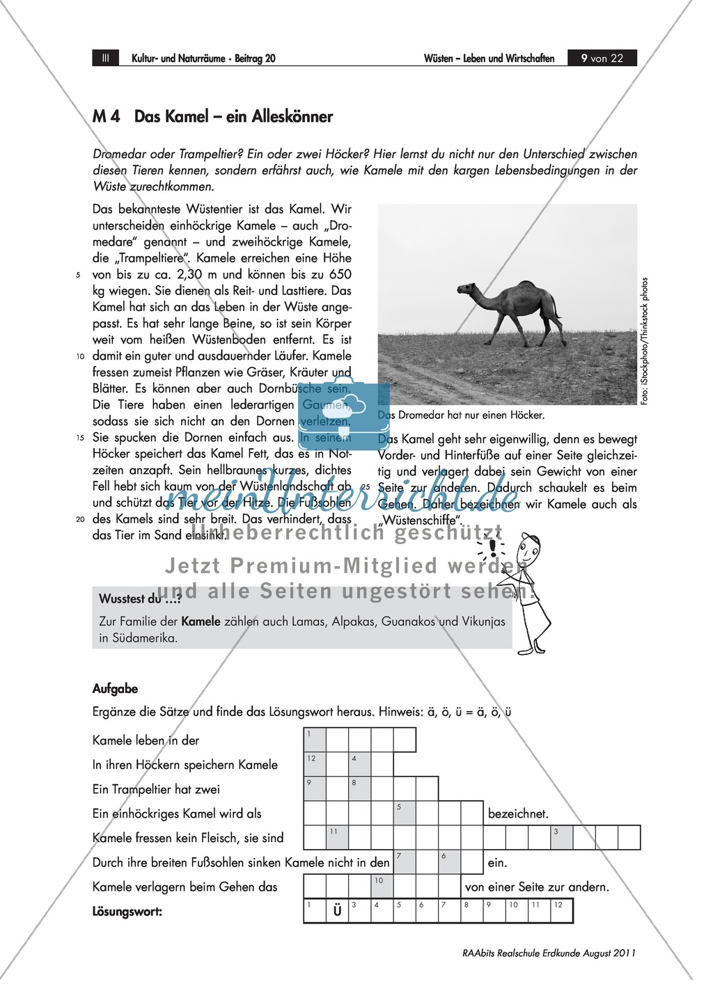 Lebens- und Wirtschaftsweisen in der Wüste: Karawanen + Nomaden Preview 5