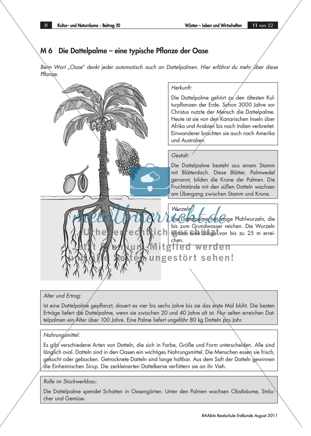 Funktion von Oasen in Wüsten: Oasentypen + Unterschiede + Dattelpalme Preview 2