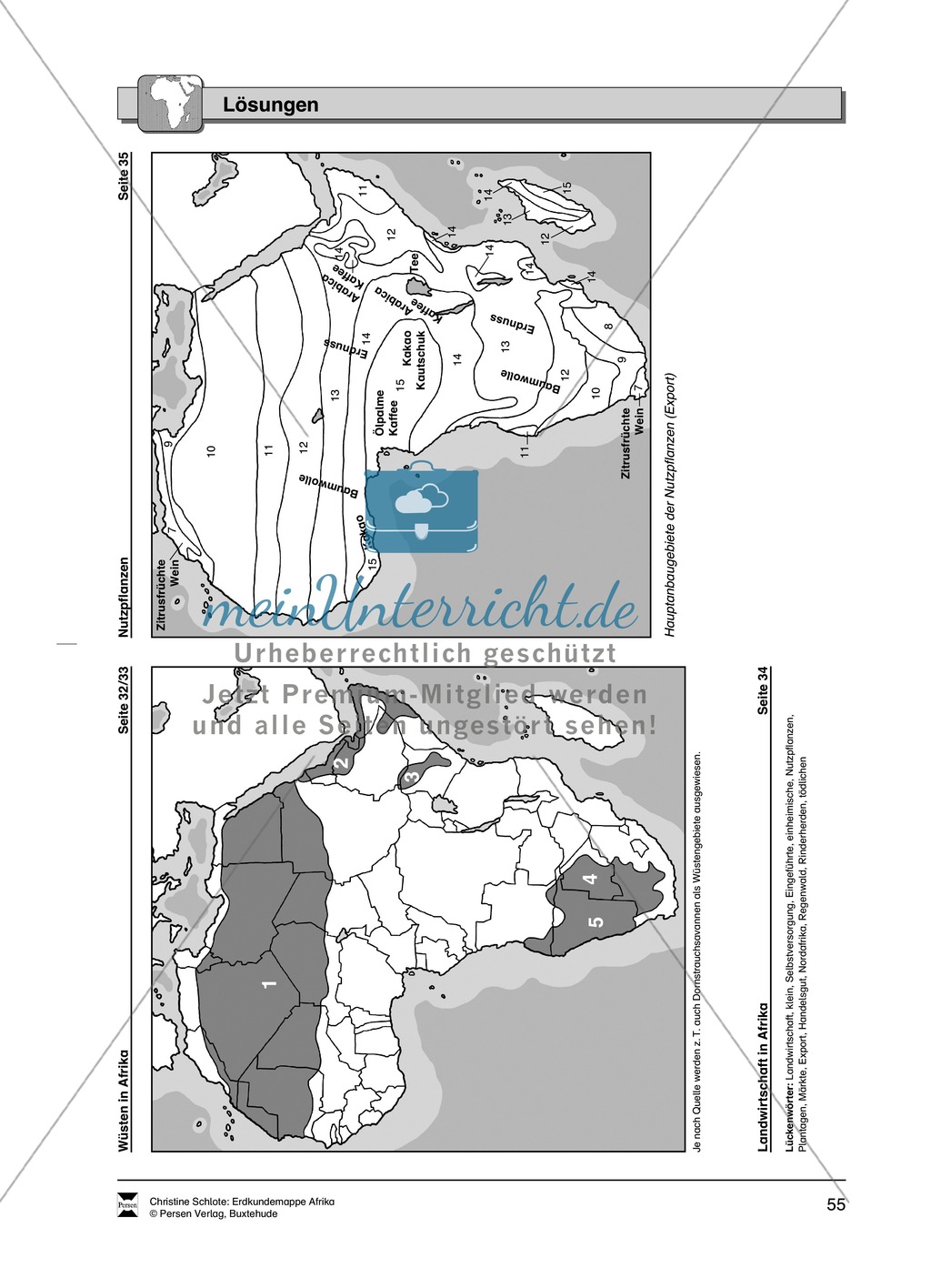 Kopiervorlage zum Klima des Kontinents Afrika: Lückentexte + Klimadiagramme + Karten Preview 18