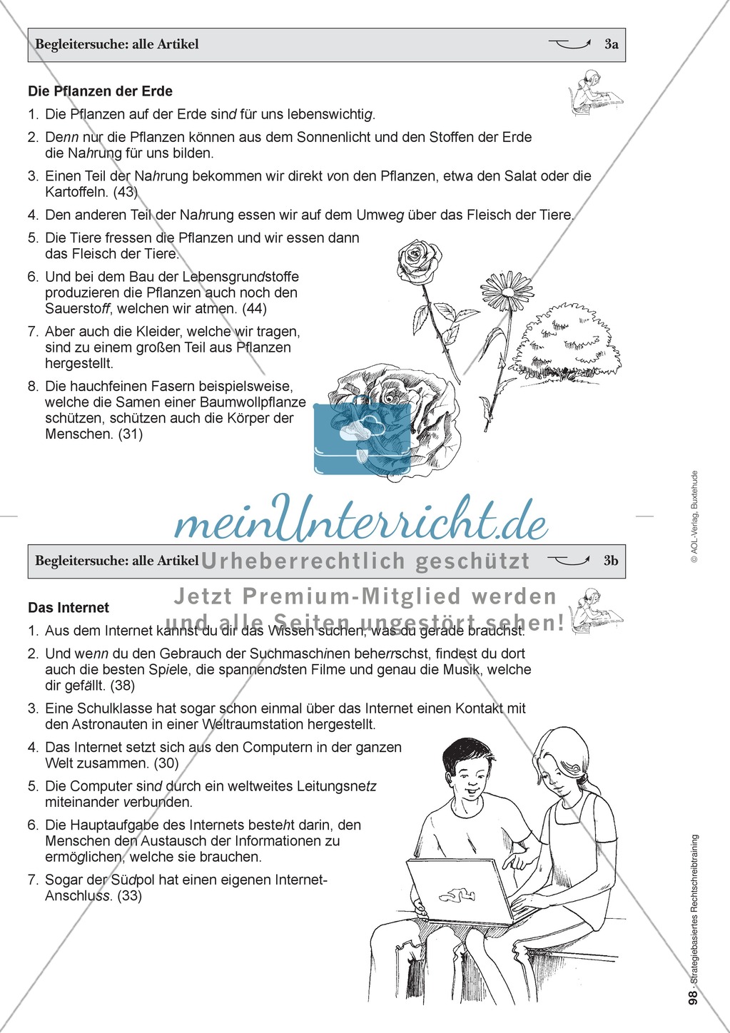 "Bestimmte und unbestimmte Artikel" in der strategiebasierten Rechtschreibübung Preview 7