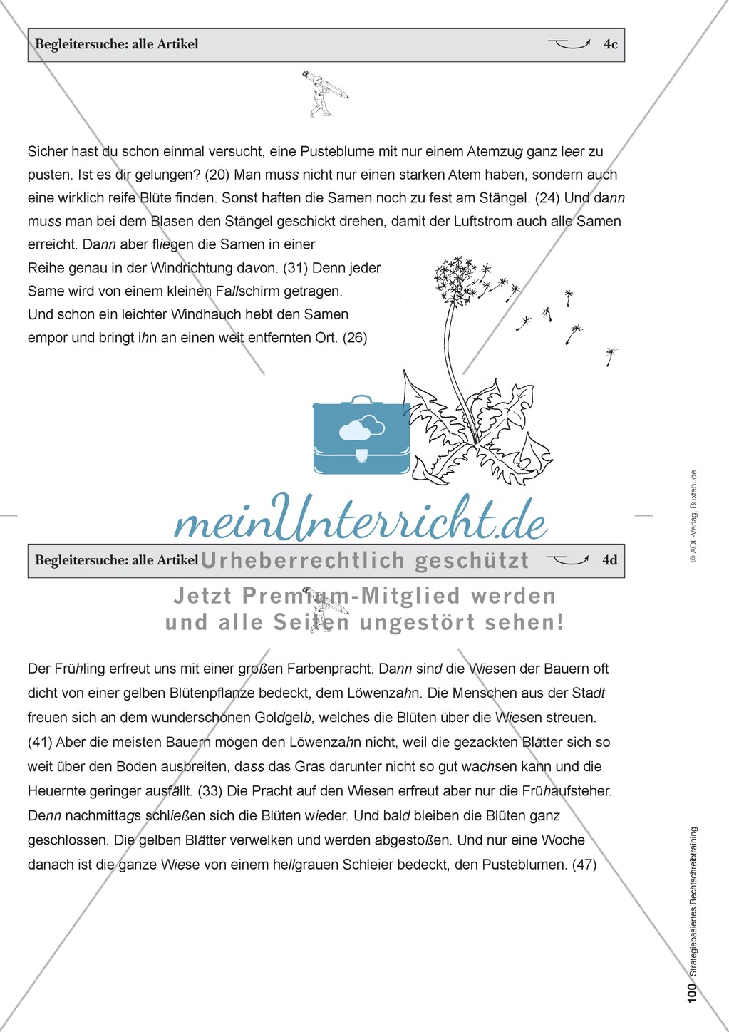 "Bestimmte und unbestimmte Artikel" in der strategiebasierten Rechtschreibübung Preview 9