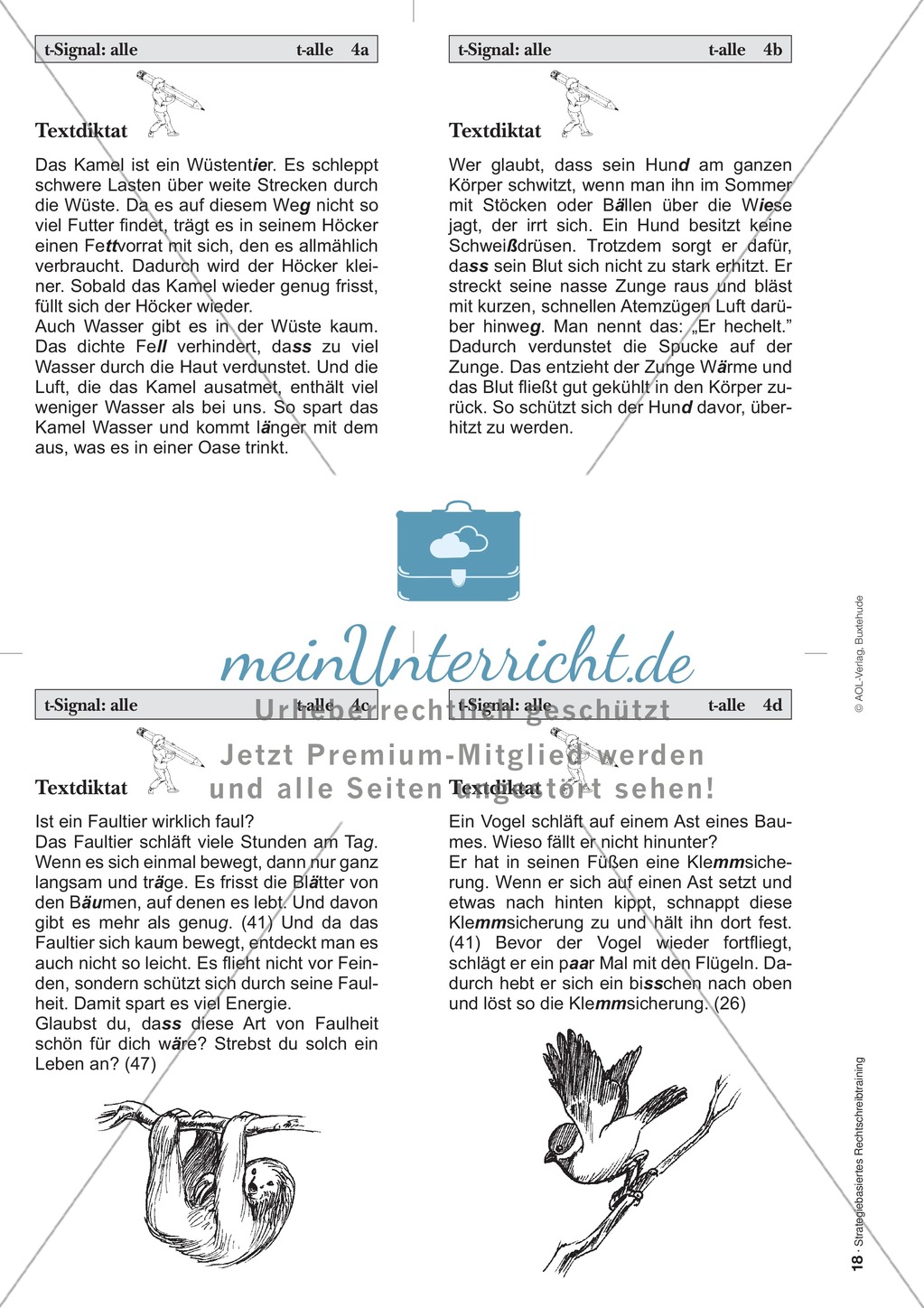 Rechtschreibung: Das t-Signal - Wissenschaftliche Grundlagen und Arbeitsmaterialien Preview 10