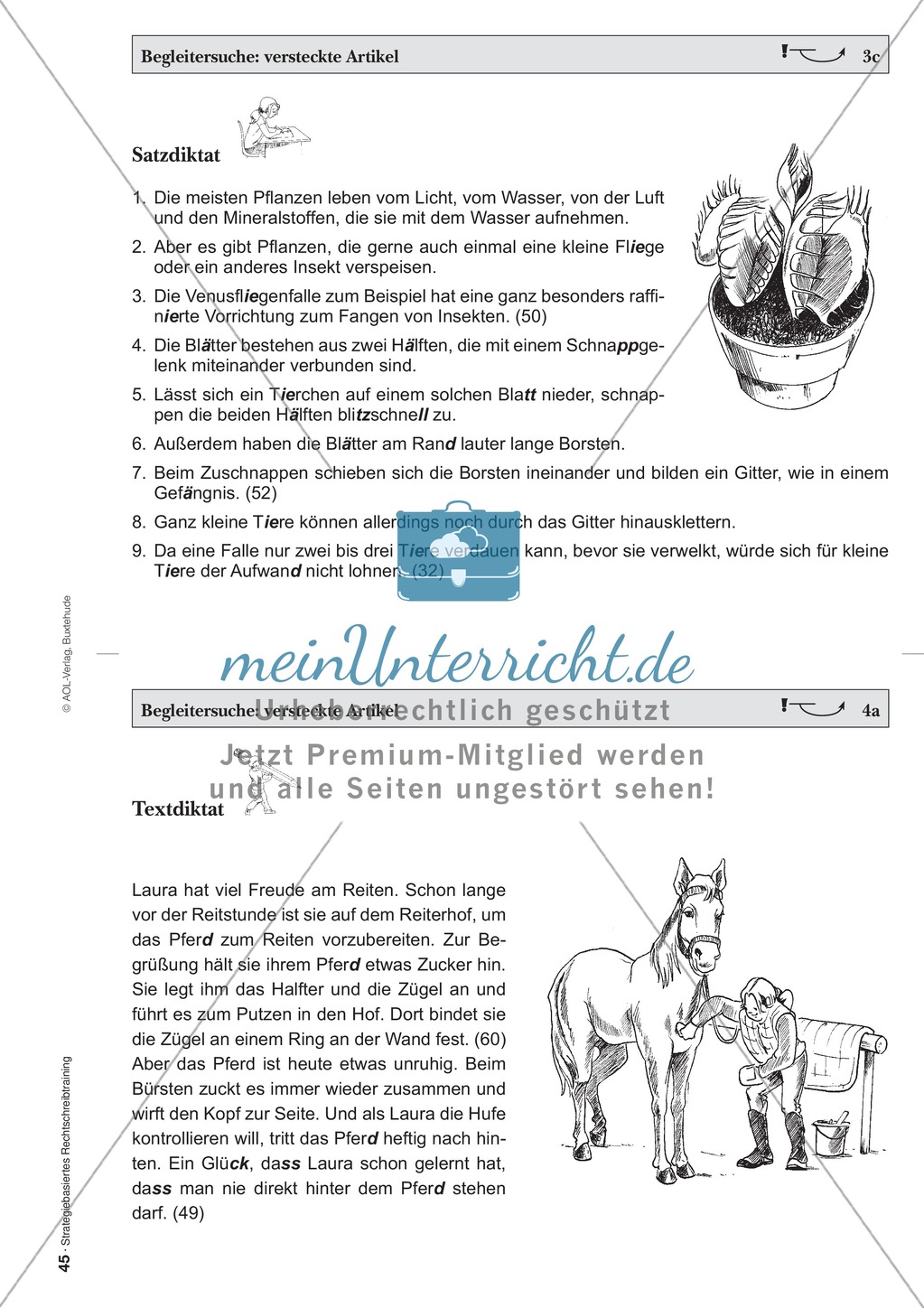 Rechtschreibung: Begleitersuche - Versteckte Artikel - Wissenschaftliche Grundlagen und Arbeitsmaterialien Preview 6