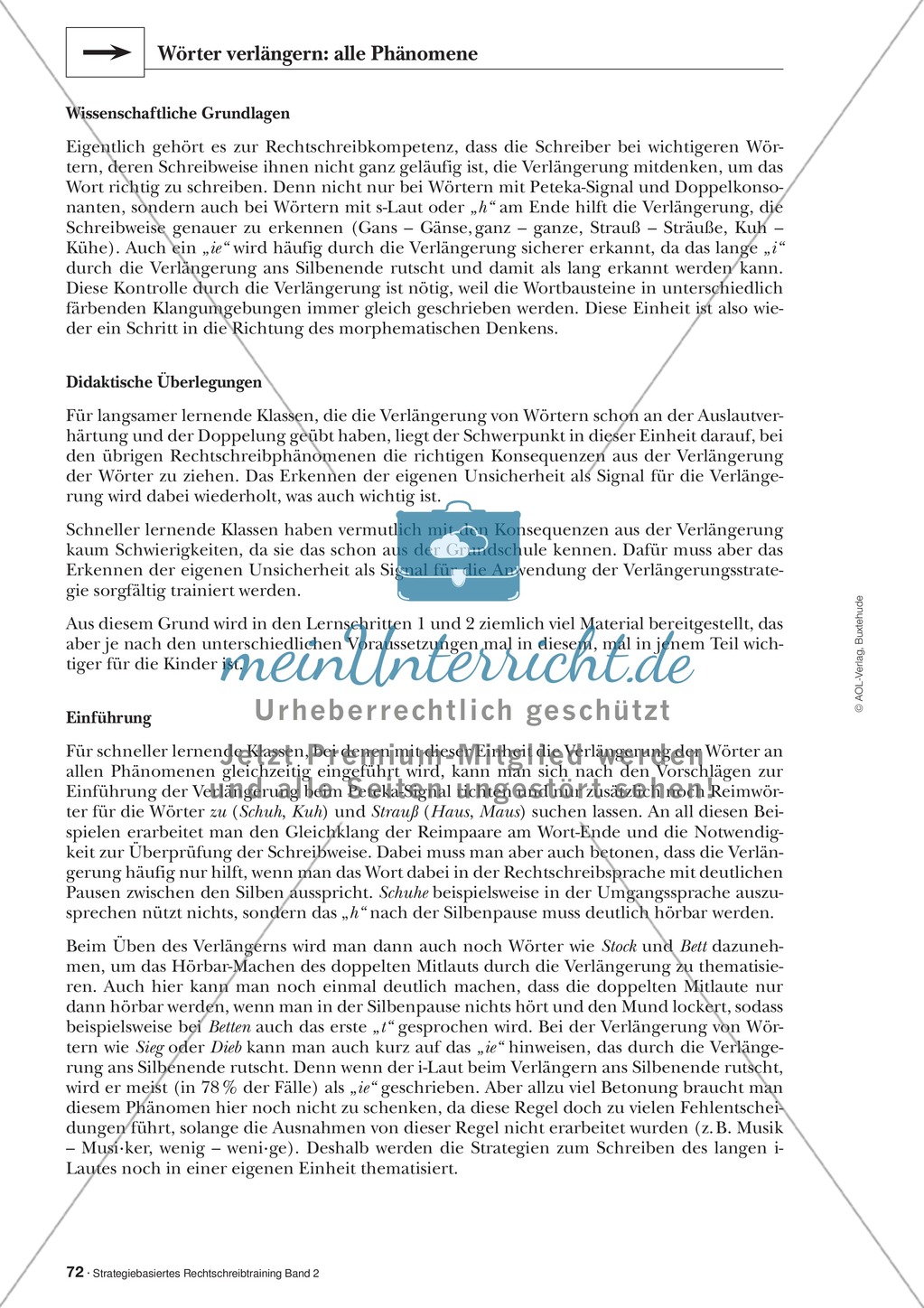 Rechtschreibung: Wörter verlängern - Doppelkonsonanten - Wissenschaftliche Grundlagen und Arbeitsmaterialien Preview 9
