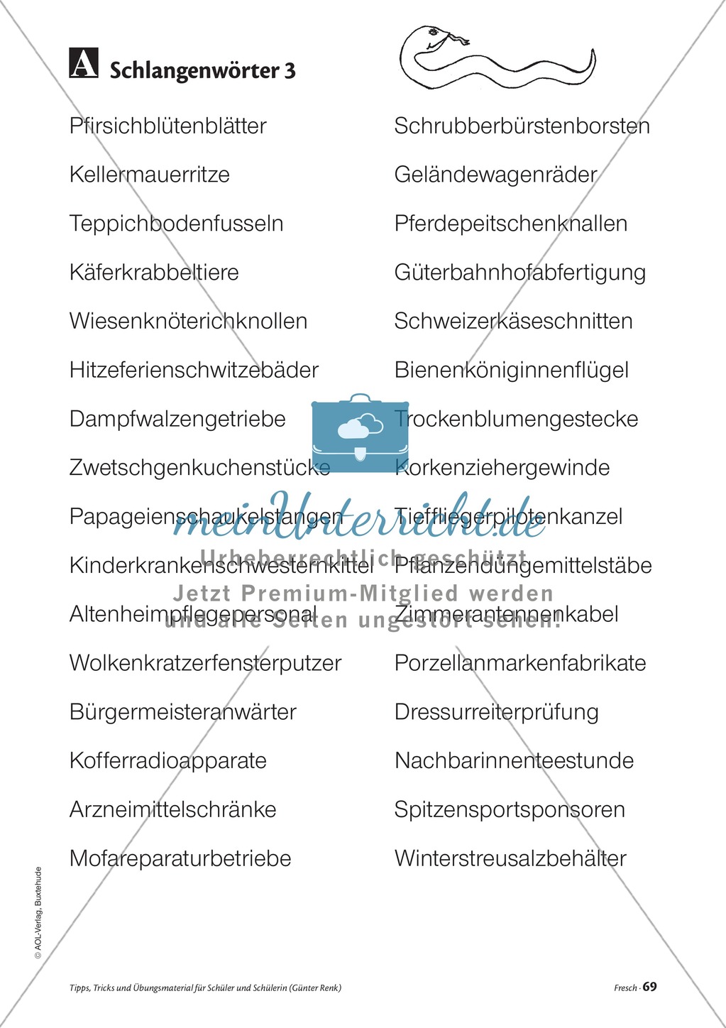 Elementares Lesetraining. Mit Infotext, Beispielen und Tipps für Schüler. Preview 11