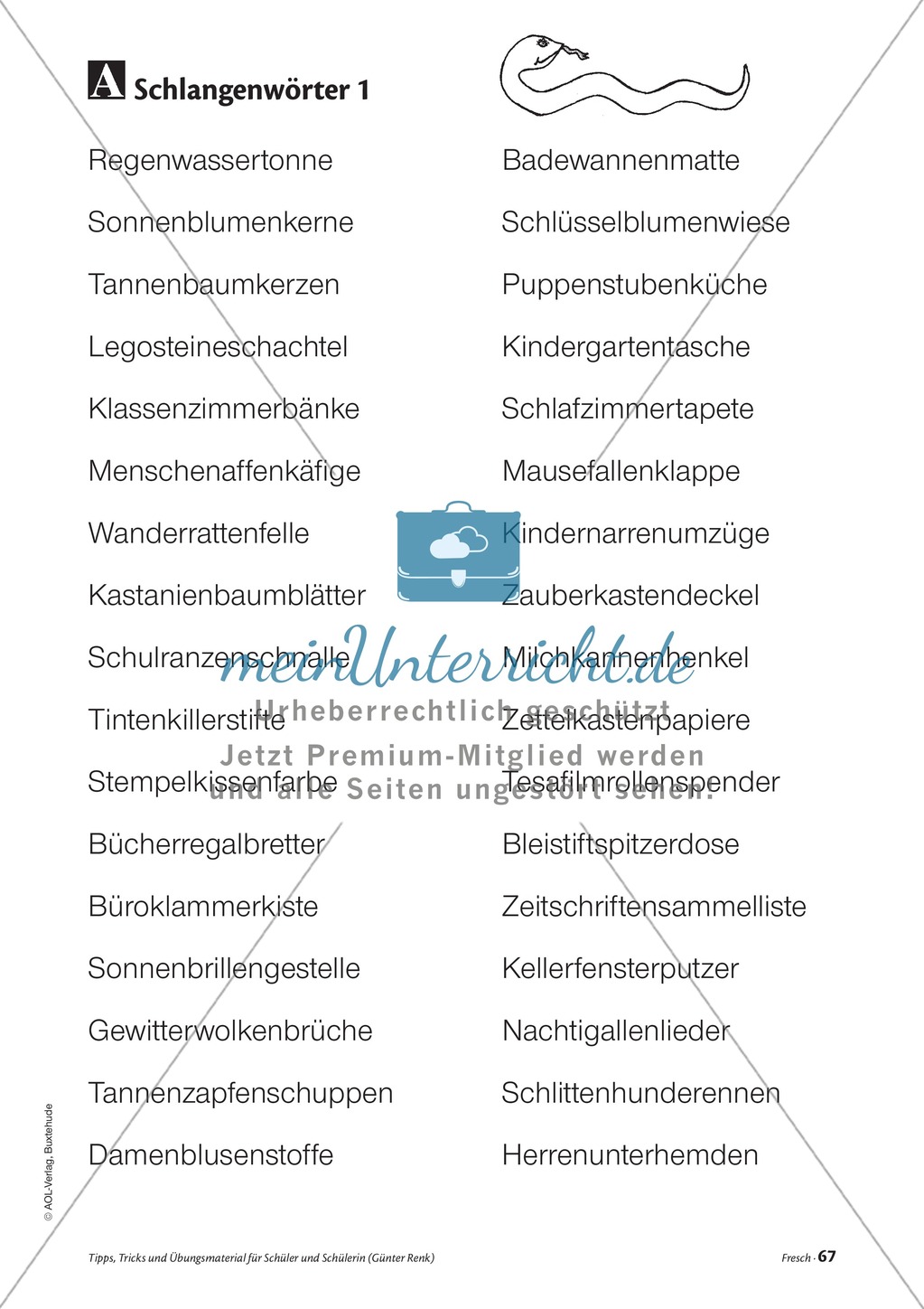 Elementares Lesetraining. Mit Infotext, Beispielen und Tipps für Schüler. Preview 9
