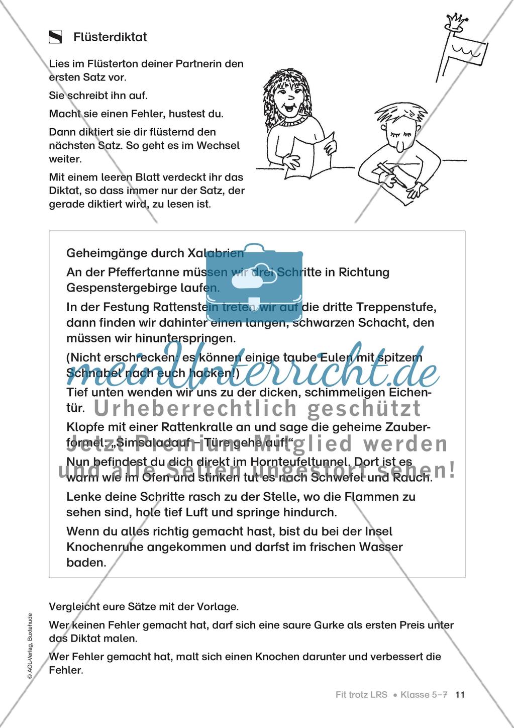 Flüsterdiktat Preview 1