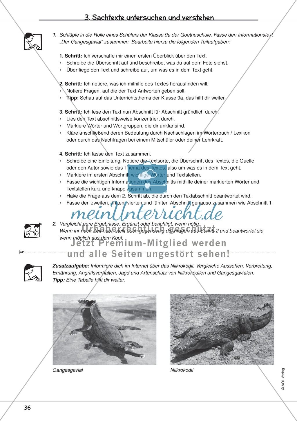 Sachtexte untersuchen und verstehen: Tipps und Übungstexte mit Arbeitsaufträgen Preview 3