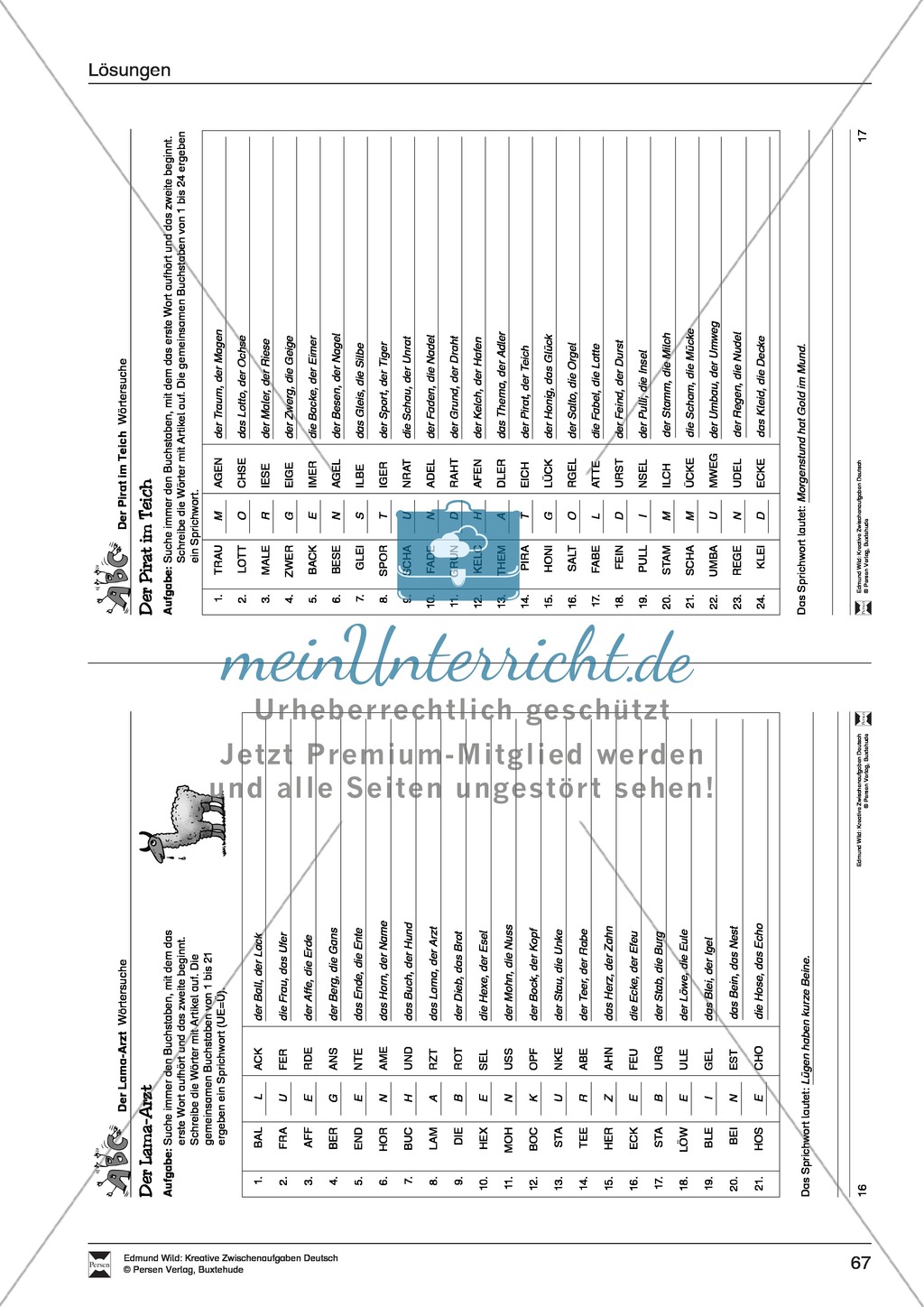 Kreative Aufgaben zum Üben von konzentriertem Lesen Preview 11