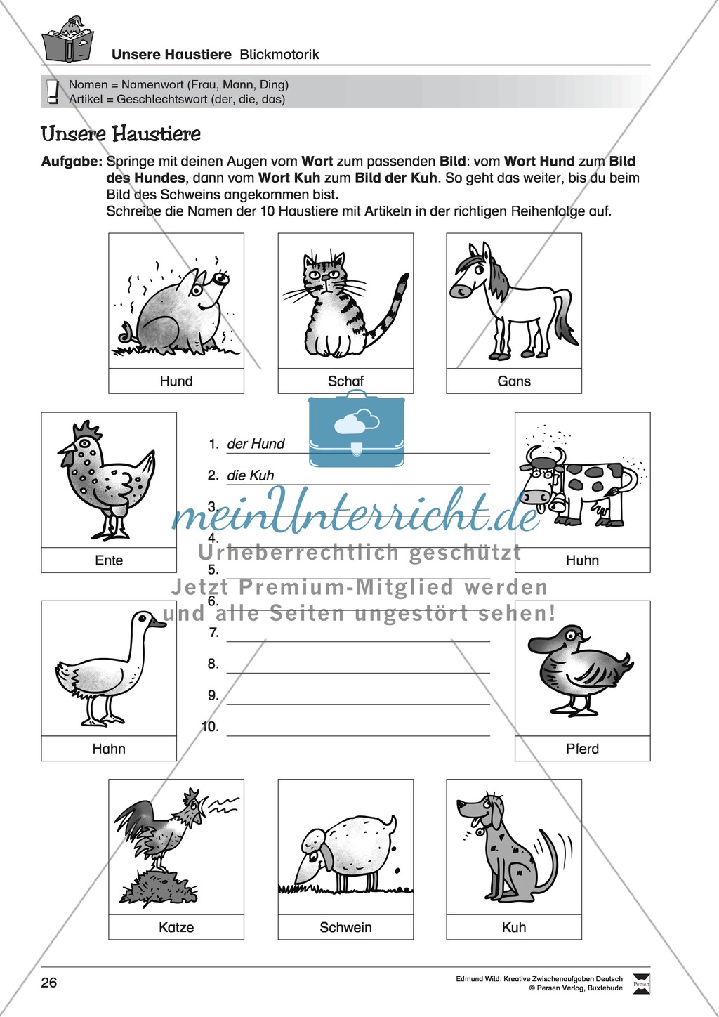 Kreative Aufgaben zum Üben von konzentriertem Lesen Preview 9