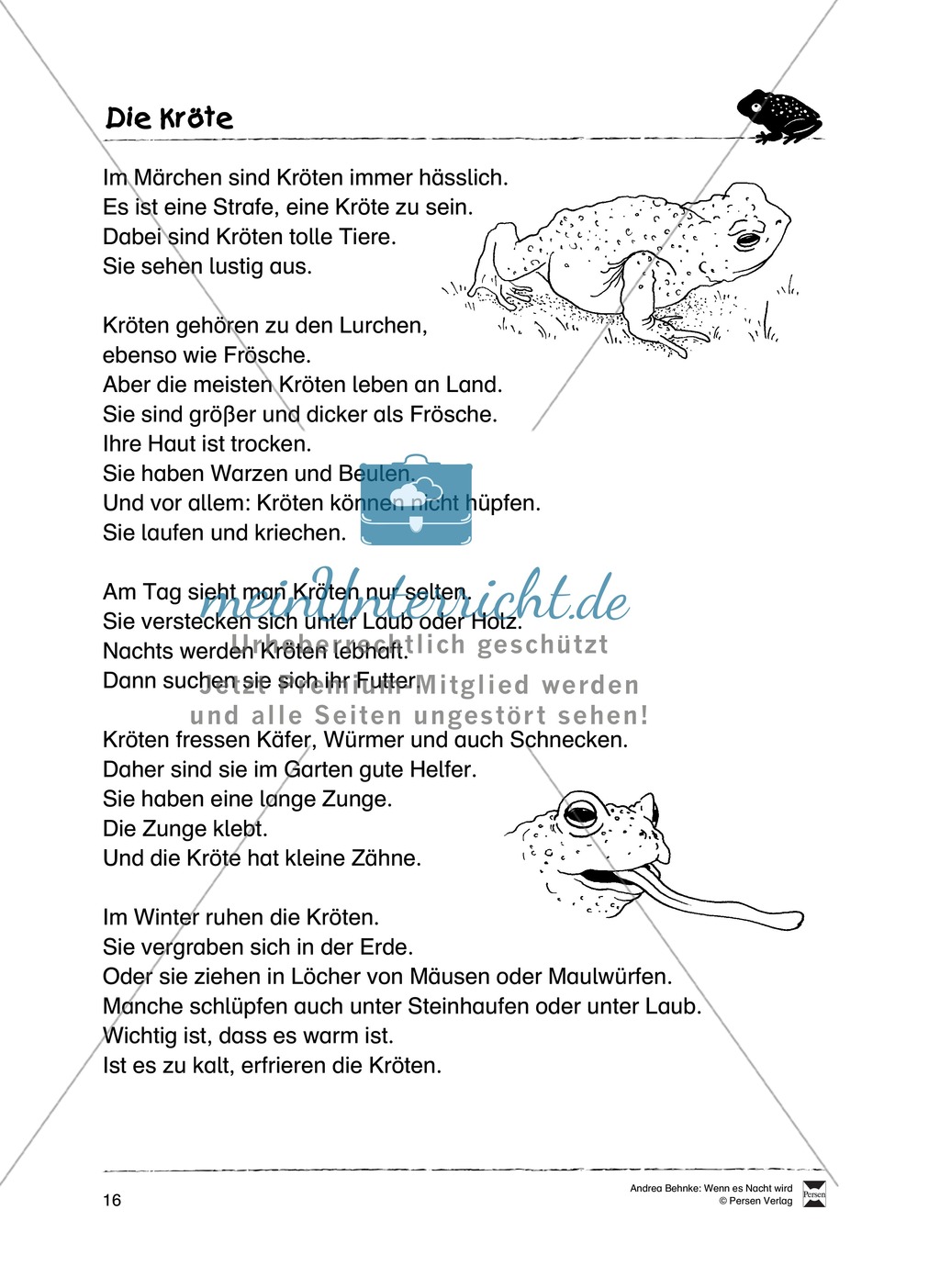 Lesekompetenz aufbauen: spannende Sachtexte + Aufgaben für Erstleser Preview 11