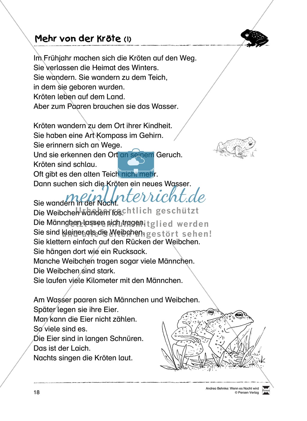 Lesekompetenz aufbauen: spannende Sachtexte + Aufgaben für Erstleser Preview 13
