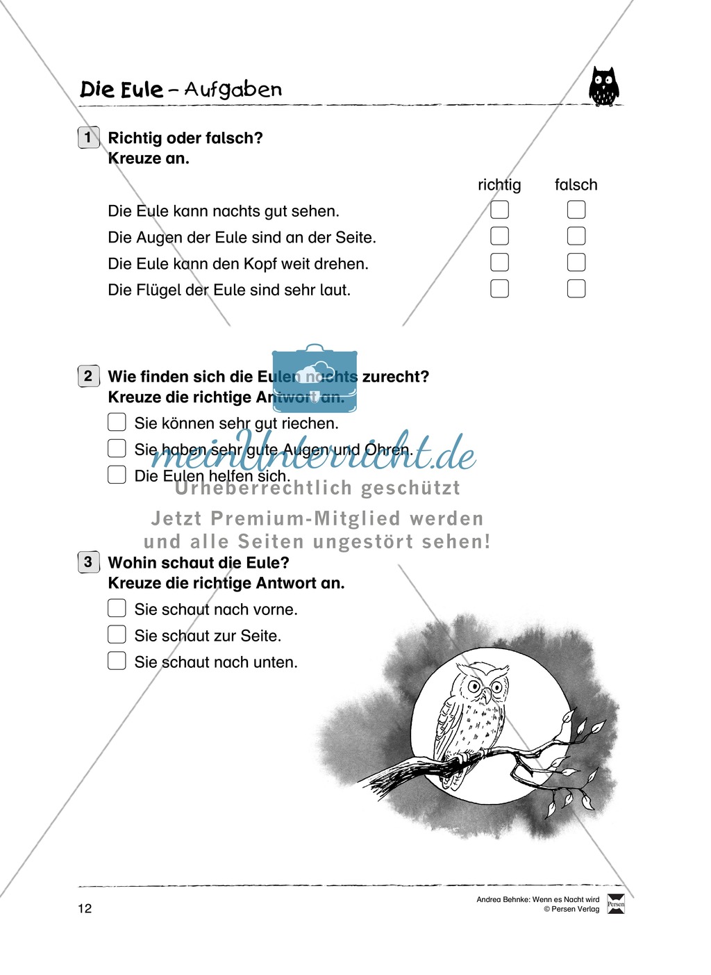 Lesekompetenz aufbauen: spannende Sachtexte + Aufgaben für Erstleser Preview 7