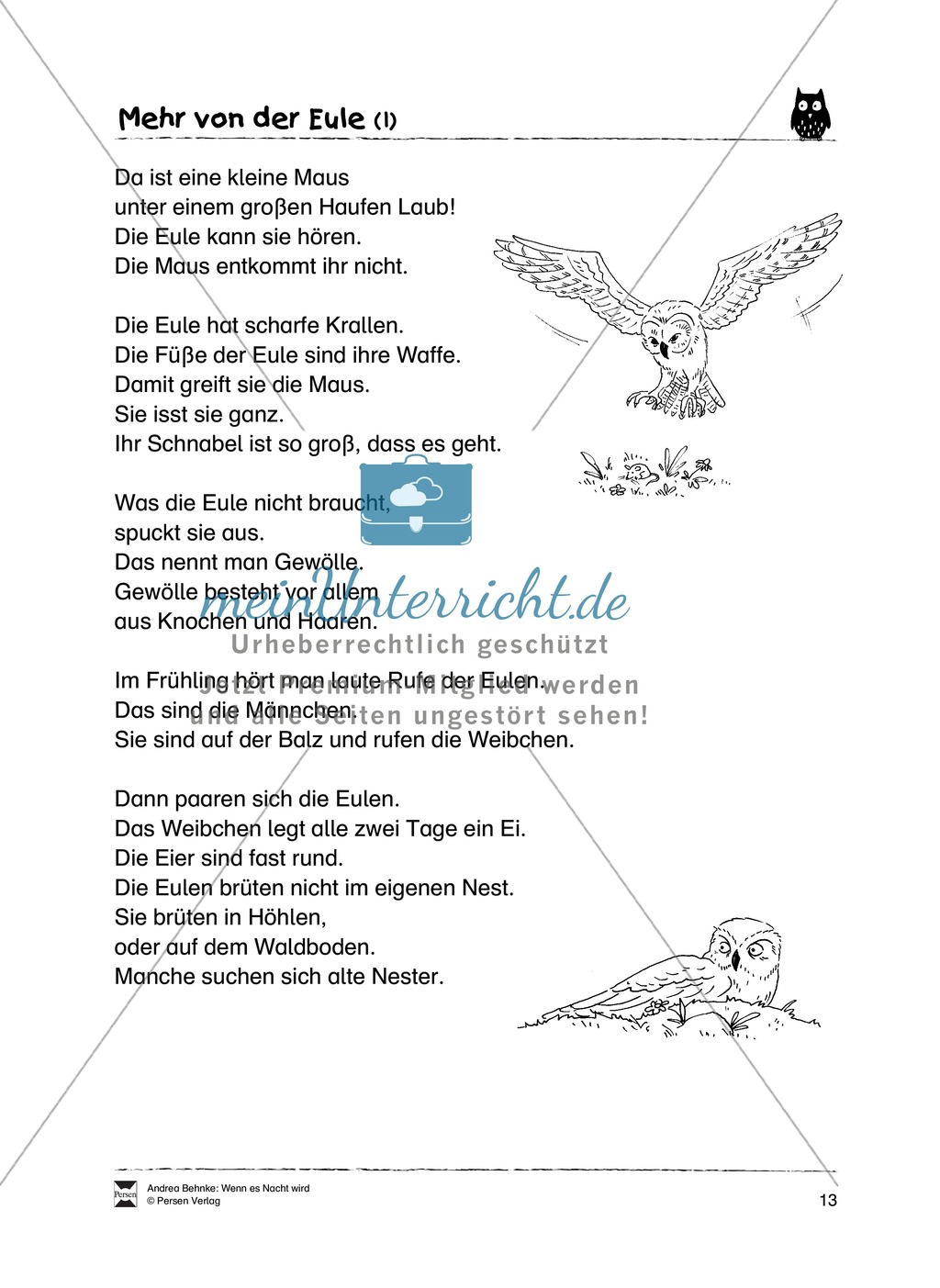 Lesekompetenz aufbauen: spannende Sachtexte + Aufgaben für Erstleser Preview 8