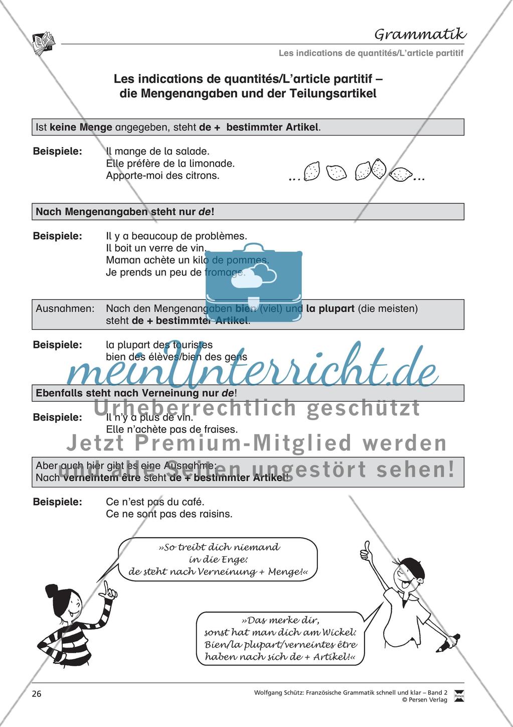 Les indications de quantités/L’article partitif Preview 1