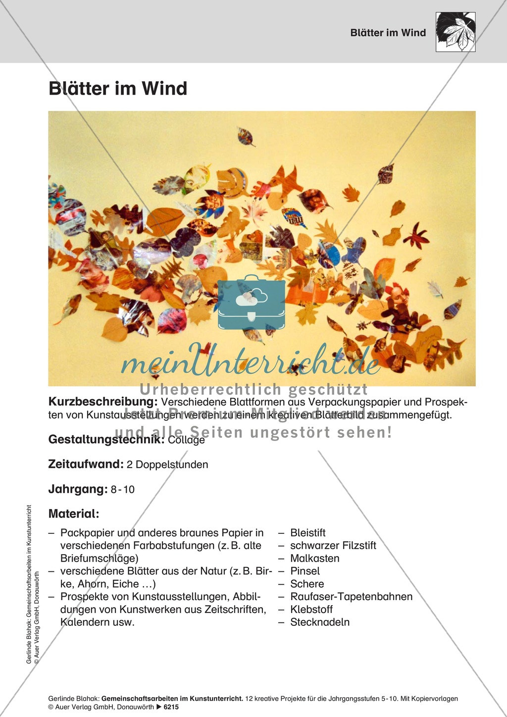 Arbeitsanleitung zur Collage